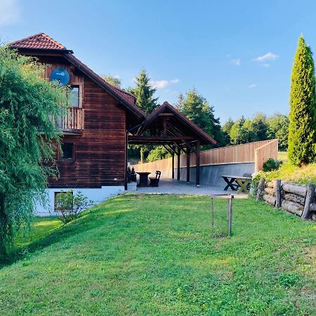 Family House Villa Mozirje Bagian luar foto